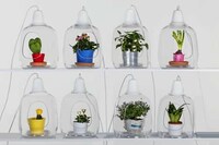 Plant-Integrated Hanging Lights Image 3