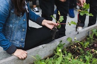 Educational Not-for-Profit Organizations Image 2