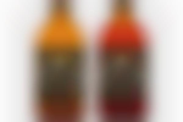 Hard Kombucha Beverages