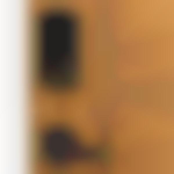 Voice Assistant Smart Locks