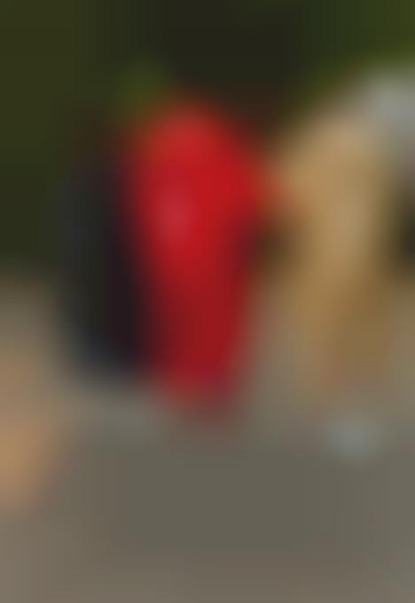 puma fantastic mistake jacket