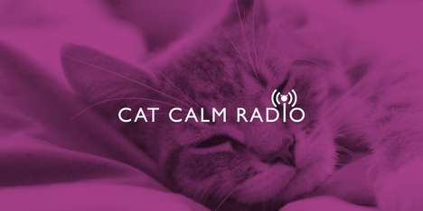 Calming Cat Radio Stations