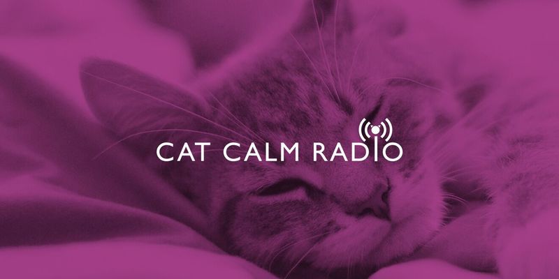 Calming Cat Radio Stations