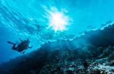 Underwater 360 VR Experiences