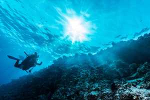 Underwater 360 VR Experiences
