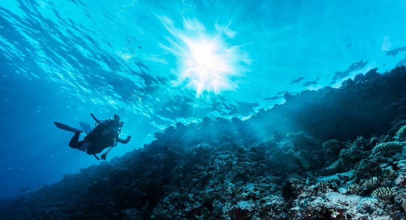 Underwater 360 VR Experiences