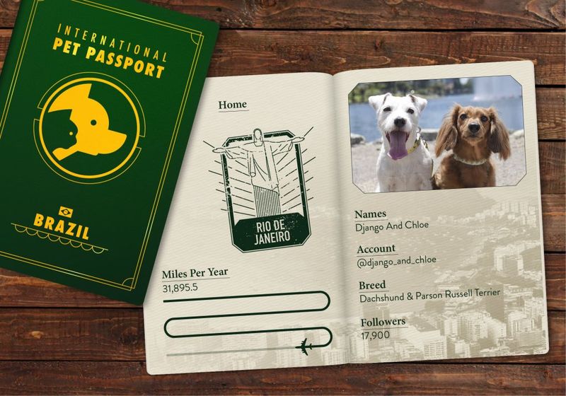 Travel-Friendly Pet Passports