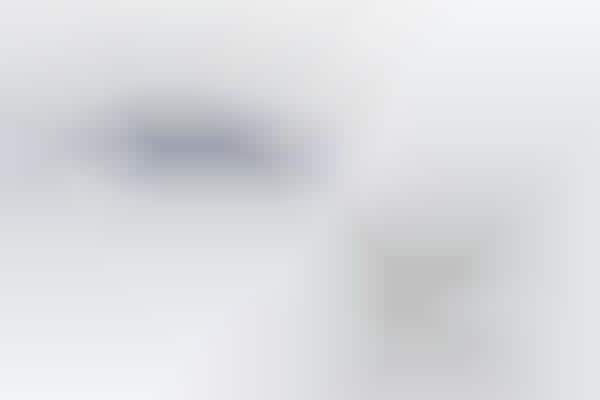 Aftermarket Voice Assistant Devices