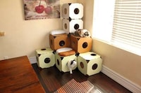 Connectable Cardboard Cat Condos Image 2