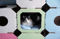 Connectable Cardboard Cat Condos Image 5