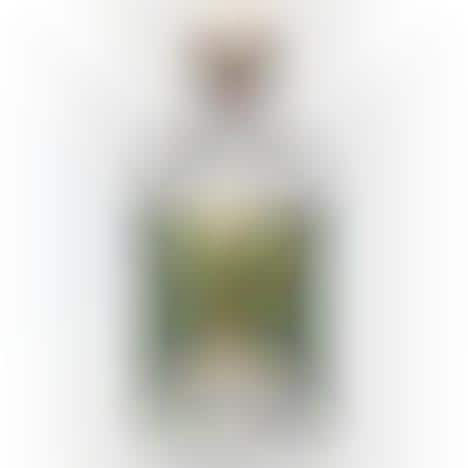 German Non-Alcoholic Gins