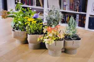 Food Waste Flower Pots Article Thubnail