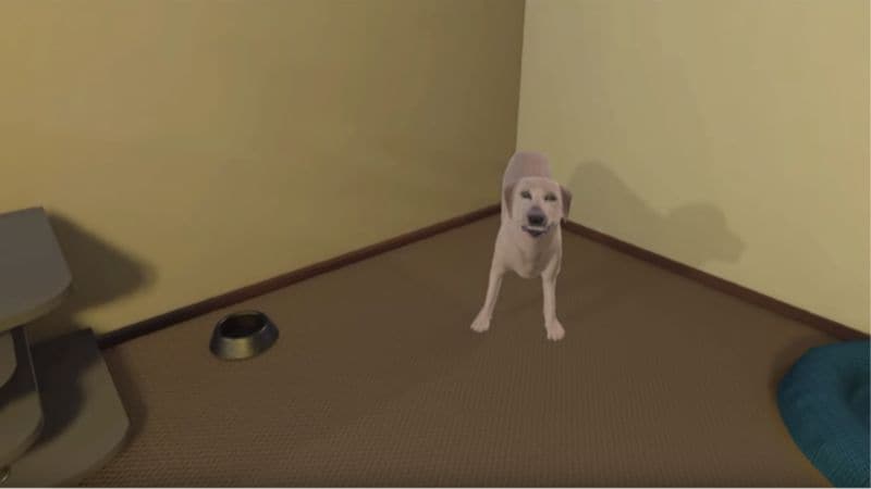 Dog Training VR Programs