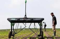 Automated Weed-Killing Robots