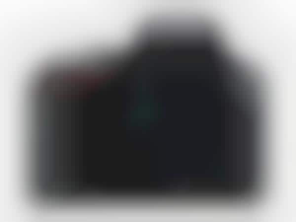 Beginner-Friendly DSLR Cameras