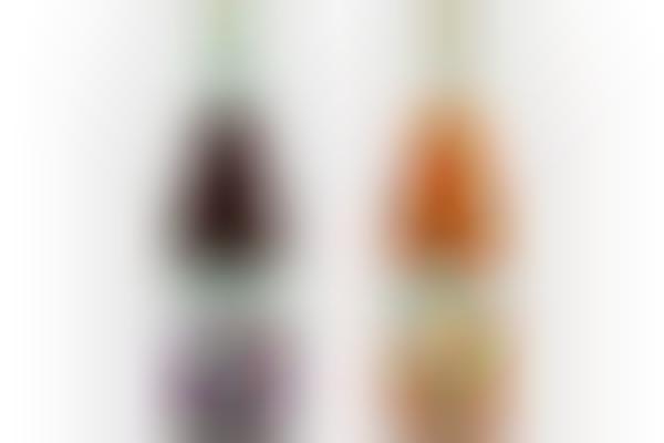 Savory Functional Juices