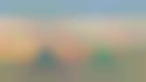 Eye-Catching Sun Shades