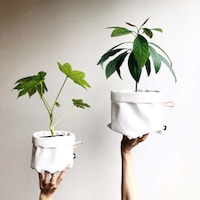 Urban Gardening Accessories Image 5