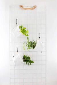 Urban Gardening Accessories Image 8