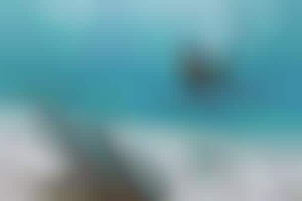 Featherweight Scuba Diving Systems