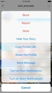Parent-Focused Social Media Portals Image 3