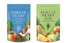 Snacking-Friendly Fruit Balls