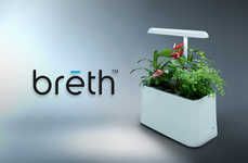 Plant-Based Air Purifiers