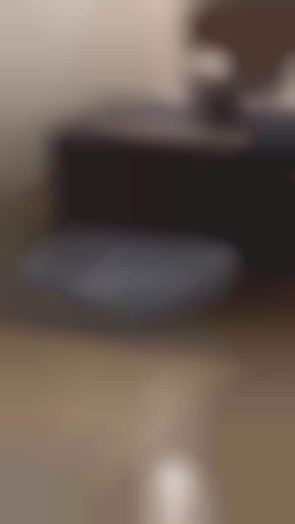 AR Pet Bed Previews