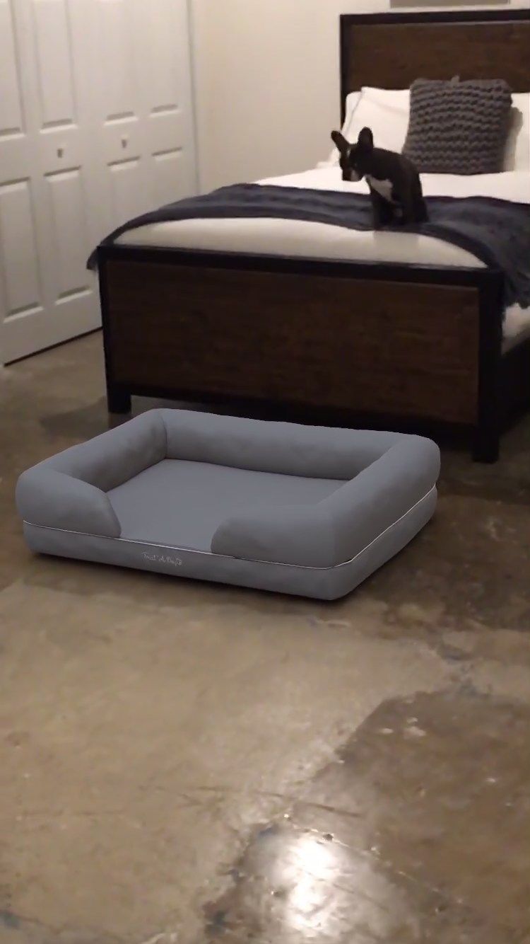 AR Pet Bed Previews