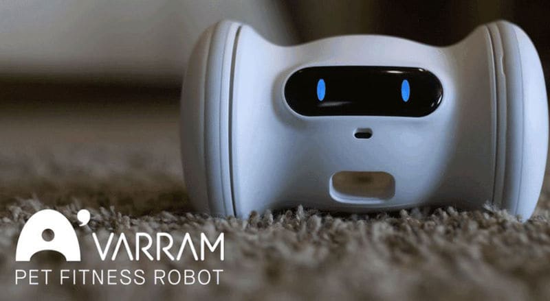 Fitness-Focused Pet Robots