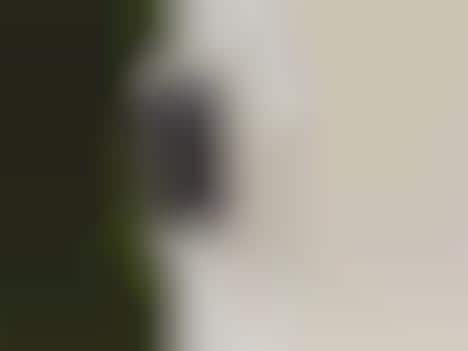Voice Assistant-Enabled Security Cameras