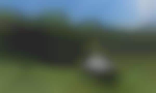 Auto-Following Golfer Caddies