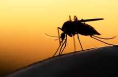 Mosquito-Tracking AIs