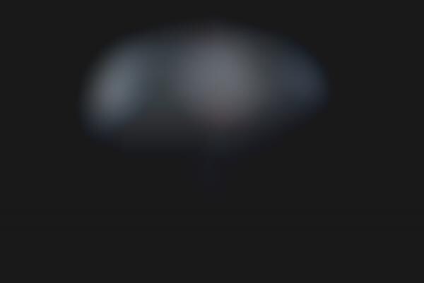 8K 16-Lens Cameras
