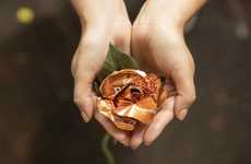 Thankful Chocolate Campaigns