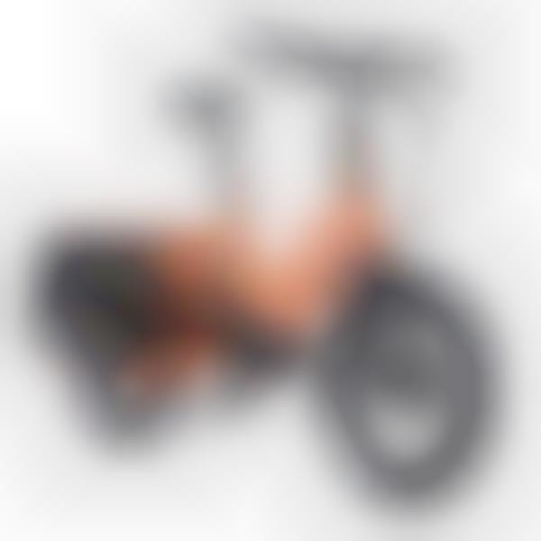 Easy-to-Ride Cargo E-Bikes