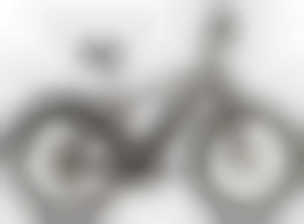 Food Delivery-Focused E-Bikes