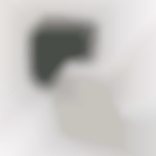 Camera Brand Smart Speakers