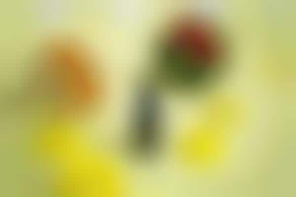 Experience-Enhancing Intimate Oils