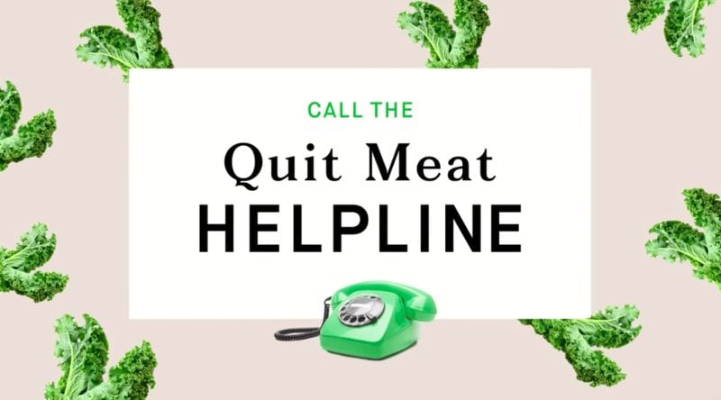 Plant-Based Eating Hotlines