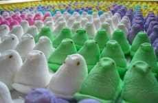 Cult Marshmallow Lessons