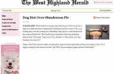 Dog Newspaper Promos