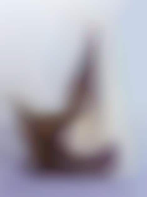 Vanguards in Biomorphic Design