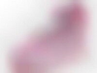 Pastel Pink Sneaks Image 1