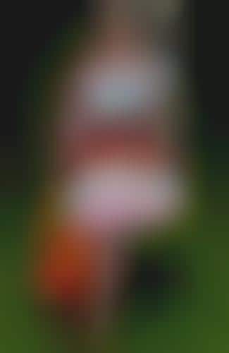 Bright Vintage Patterns