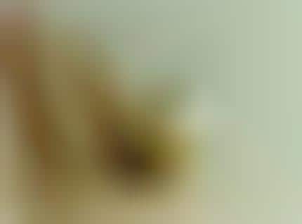 Sakebox Inspired Jewelry