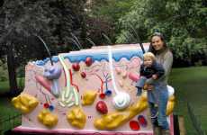 Art Exhibits in Castles