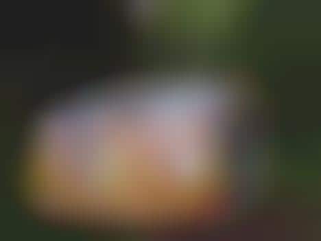 Art Exhibits in Castles