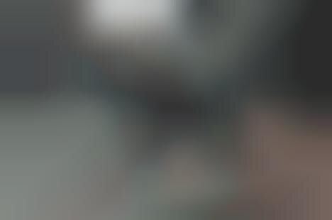 Painted Derby Horses