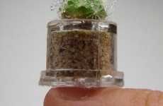 Tiny Capsulized Plants